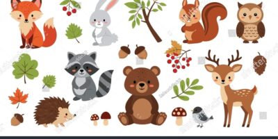 Reception Class Woodland Animals 🦡🦔