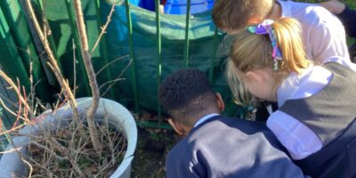 Year 2 - Microhabitats