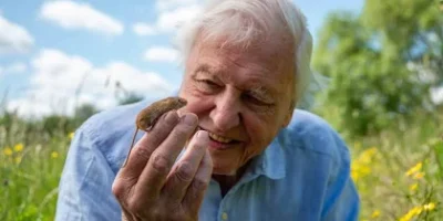Reception Class - Sir David Attenborough